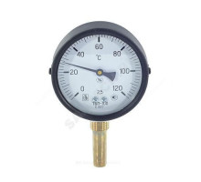 Термометр биметаллический радиальный Дк100 L=60мм G1/2